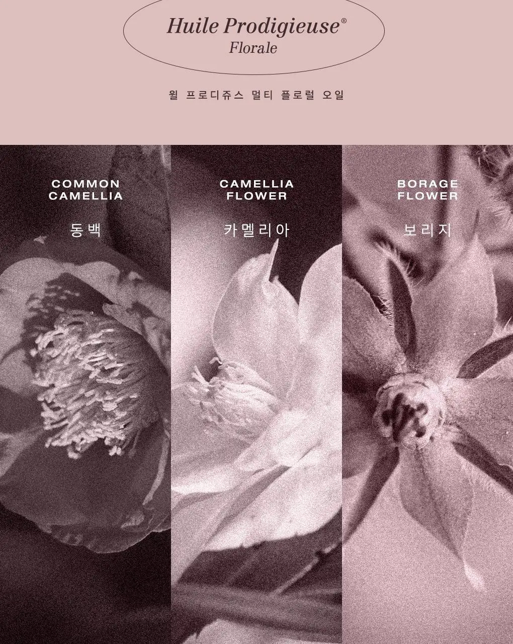 [선물추천/ 자몽&플로럴향 리추얼 멀티오일] 눅스 윌 프로디쥬스 멀티 플로럴 오일 50ml 기획 상세페이지 8